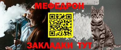дживик Можга