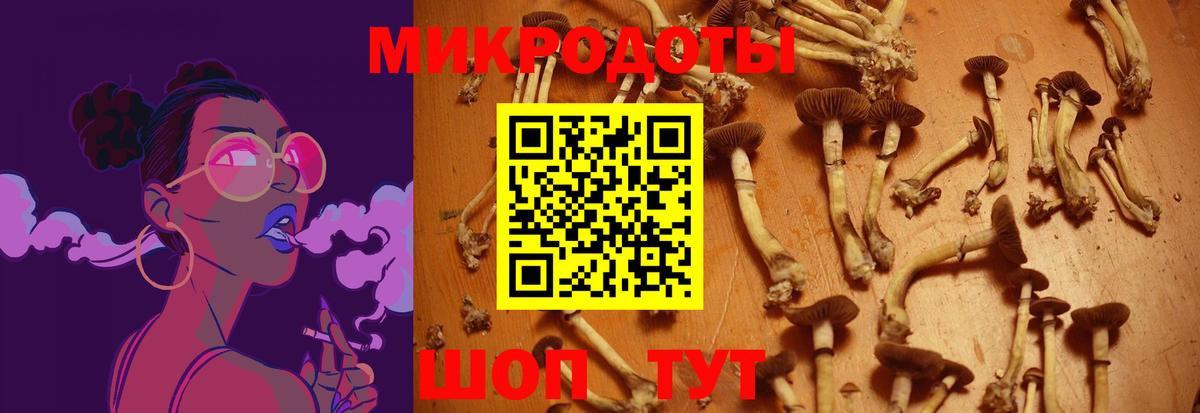 Галлюциногенные грибы мицелий  Вход с VPN  Галлюциногенные грибы Psilocybe  Строитель 